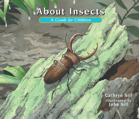 About Insects by Cathryn Sill