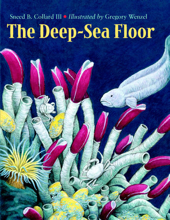 The Deep-Sea Floor by Sneed B. Collard III