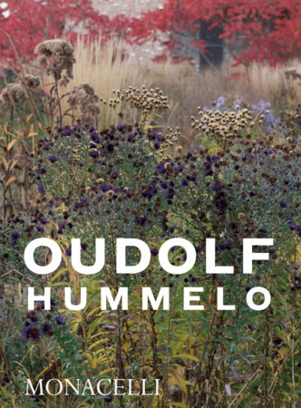 Hummelo by Piet Oudolf and Noel Kingsbury