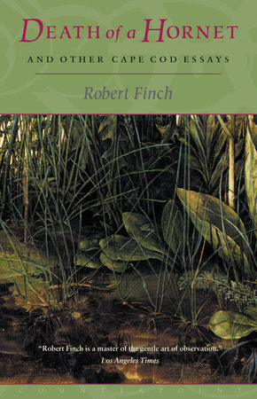 Death of a Hornet and Other Cape Cod Essays by Robert Finch