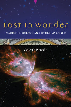 Lost in Wonder by Colette Brooks