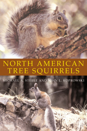 North American Tree Squirrels by Michael A. Steele and John L. Koprowski