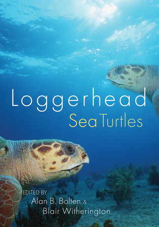 Loggerhead Sea Turtles by 
