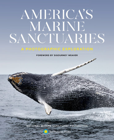America's Marine Sanctuaries by NAT'L MARINE SANCTUARY FDN