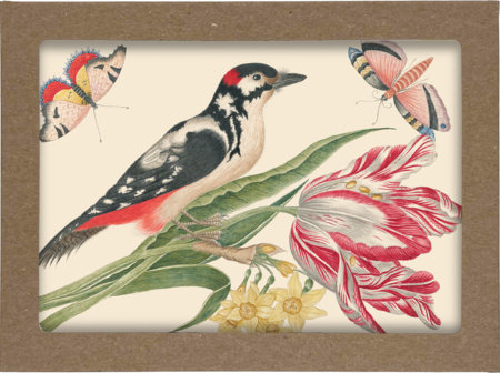 Smithsonian Birds and Flowers Notecard Set by Smithsonian Institution