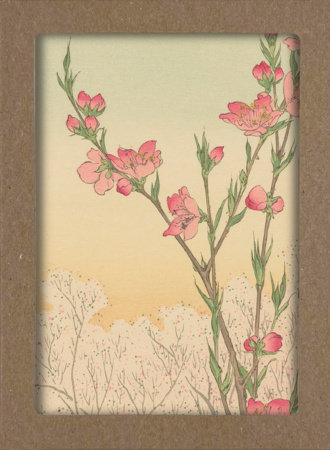 Smithsonian Cherry Blossom Notecard Set by Smithsonian Institution