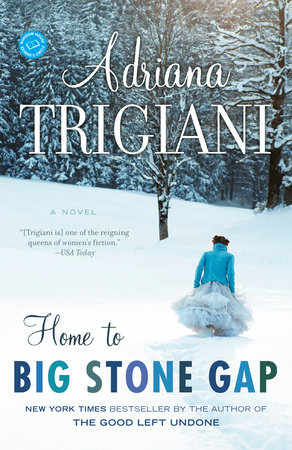 Home to Big Stone Gap by Adriana Trigiani