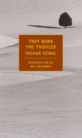 They Burn the Thistles by Yashar Kemal
