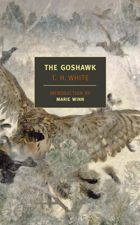 The Goshawk by T.H. White