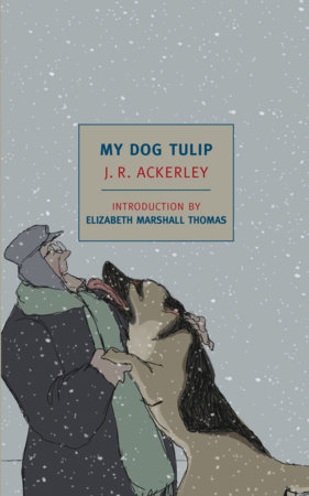 My Dog Tulip by J. R. Ackerley