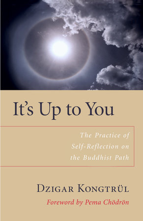 It's Up to You by Dzigar Kongtrul