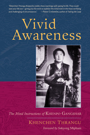 Vivid Awareness by Khenchen Thrangu