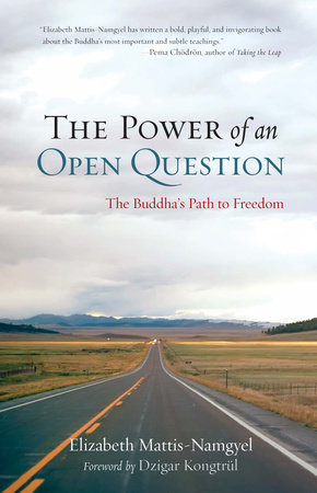 The Power of an Open Question by Elizabeth Mattis Namgyel