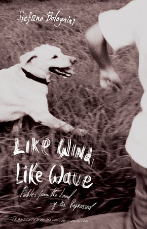 Like Wind, Like Wave by Stefano Bolognini