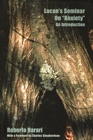 Lacan's Seminar on Anxiety by Roberto Harari