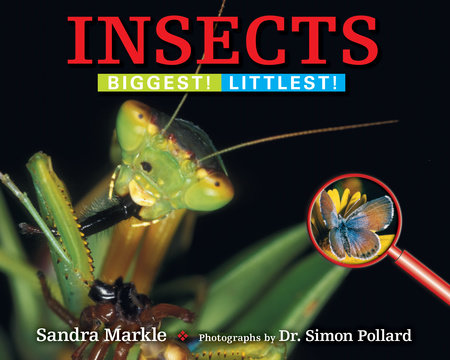 Insects by Sandra Markle