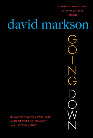 Going Down by David Markson