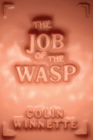 The Job of the Wasp by Colin Winnette