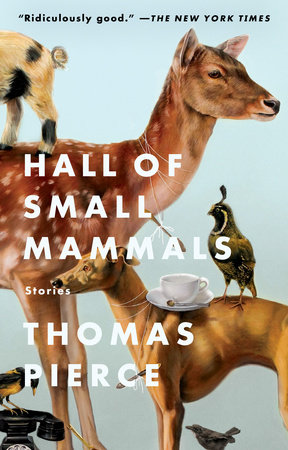 Hall of Small Mammals by Thomas Pierce