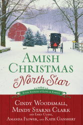 Amish Christmas at North Star