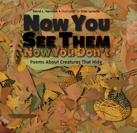 Now You See Them, Now You Don't by David L. Harrison