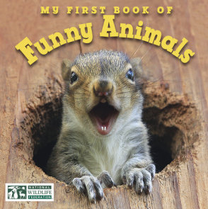 My First Book of Funny Animals (National Wildlife Federation)