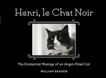 Henri, le Chat Noir
