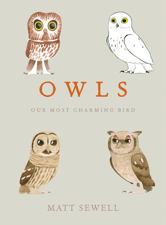 Owls by Matt Sewell