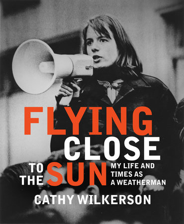 Flying Close to the Sun by Cathy Wilkerson