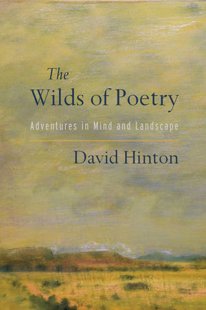 The Wilds of Poetry by David Hinton