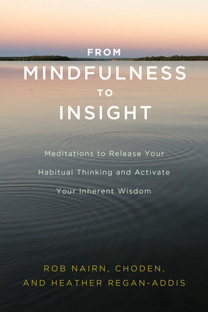 From Mindfulness to Insight by Rob Nairn, Choden and Heather Regan-Addis