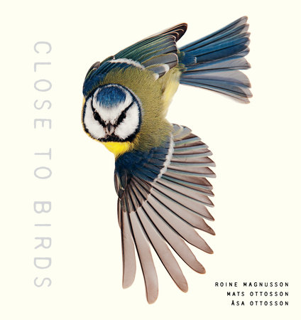 Close to Birds by Mats Ottosson and Asa Ottosson