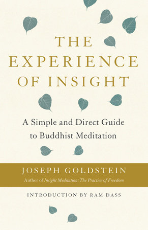 The Experience of Insight by Joseph Goldstein