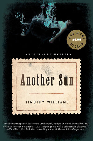 Another Sun by Timothy Williams