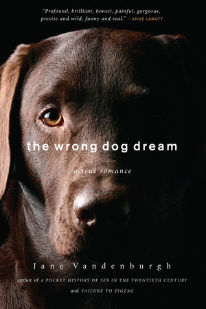 The Wrong Dog Dream by Jane Vandenburgh