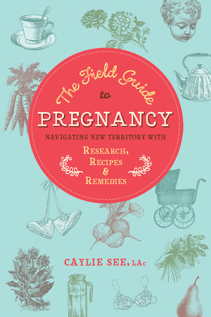 The Field Guide to Pregnancy by Caylie See, L.Ac.