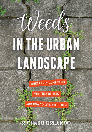 Weeds in the Urban Landscape by Richard Orlando