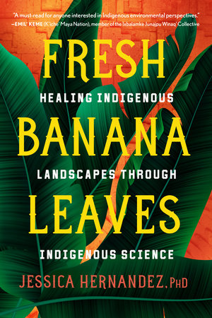 Fresh Banana Leaves by Jessica Hernandez, Ph.D.