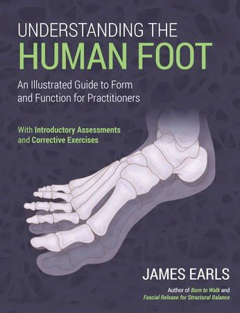 Understanding the Human Foot by James Earls