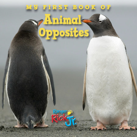 My First Book of Animal Opposites (National Wildlife Federation) by National Wildlife Federation