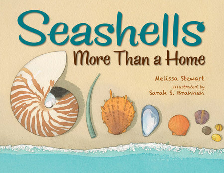 Seashells by Melissa Stewart