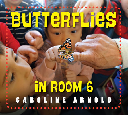 Butterflies in Room 6 by Caroline Arnold (Author)
