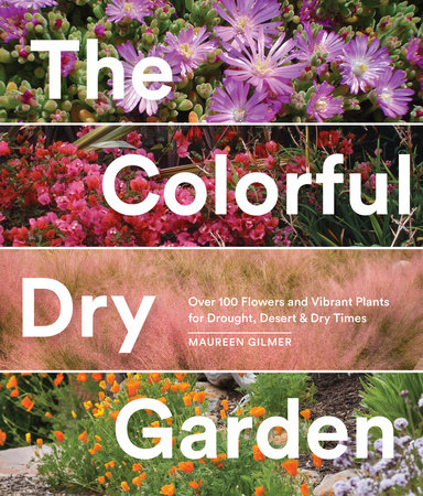 The Colorful Dry Garden by Maureen Gilmer
