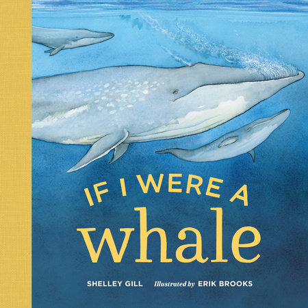 If I Were a Whale by Shelley Gill, Illustrated by Erik Brooks
