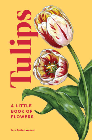 Tulips by Tara Austen Weaver