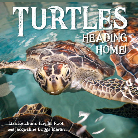 Turtles Heading Home! by Liza Ketchum, Jacqueline Martin and Phyllis Root
