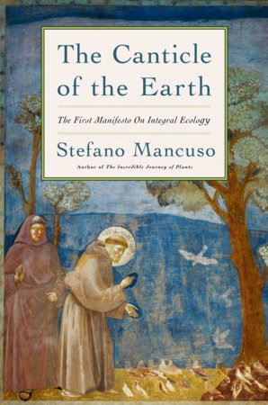 The Canticle of the Earth by Stefano Mancuso
