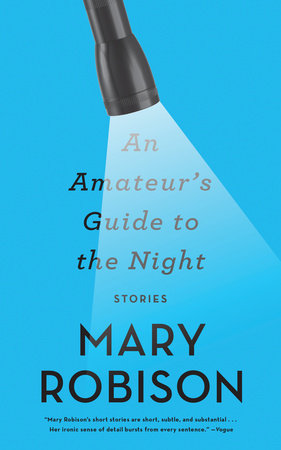 An Amateur's Guide to the Night by Mary Robison