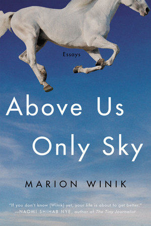 Above Us Only Sky by Marion Winik