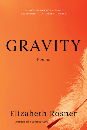 Gravity by Elizabeth Rosner
